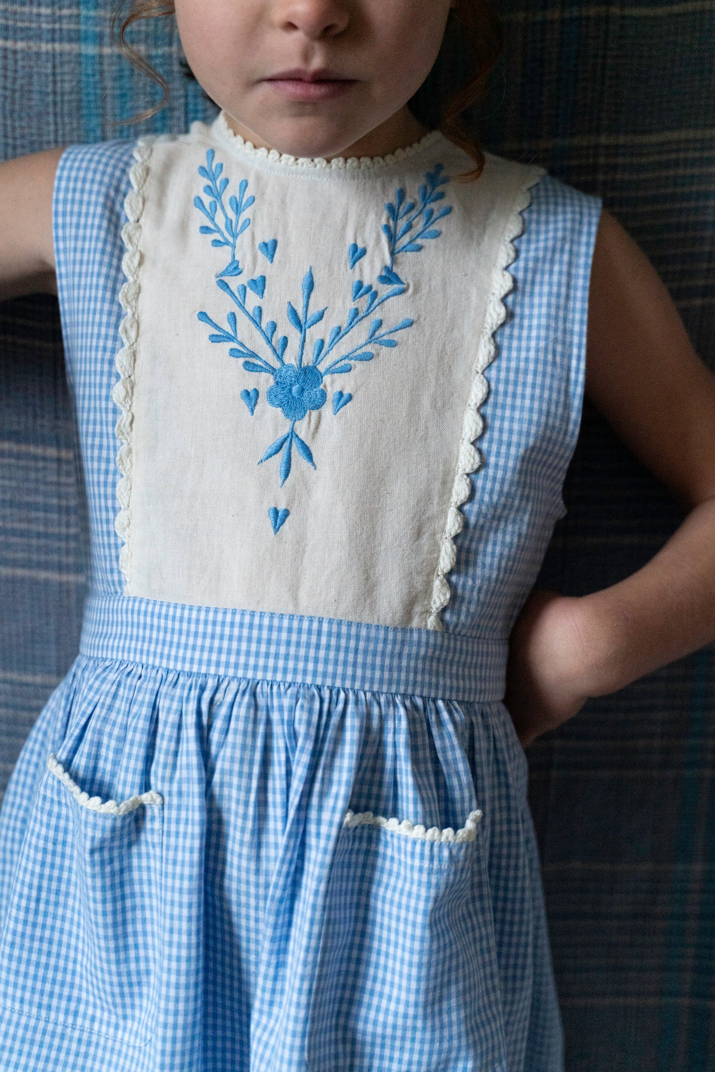Rosalie blue gingham dress